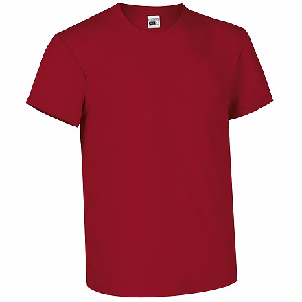 Футболка BIKE, красный лотос, XXL Футболка BIKE, красный лотос, XXL