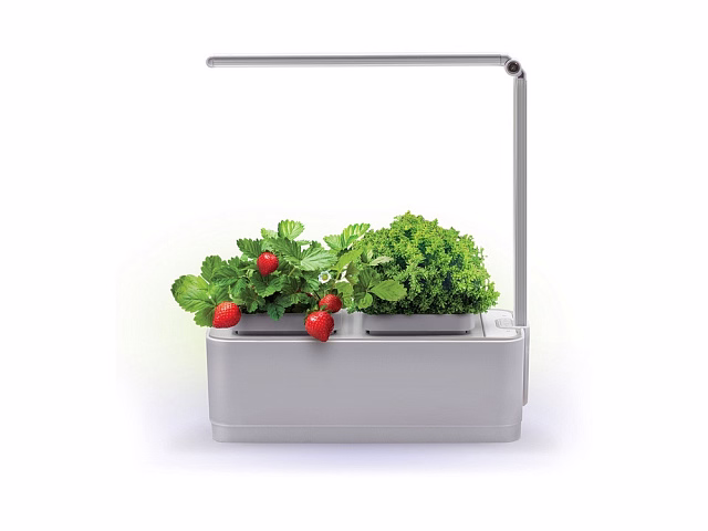 Компактный смарт-сад iGarden LED с подсветкой Компактный смарт-сад iGarden LED с подсветкой