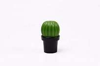 МЕЛЬНИЦА ДЛЯ СПЕЦИЙ Tasty Cactus
