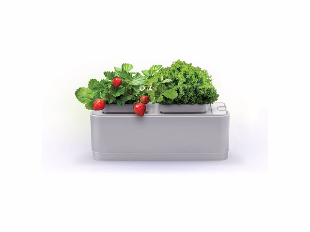 Компактный смарт-сад iGarden Компактный смарт-сад iGarden