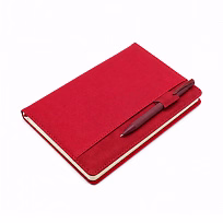 Подарочный набор Task   Pen, красный
