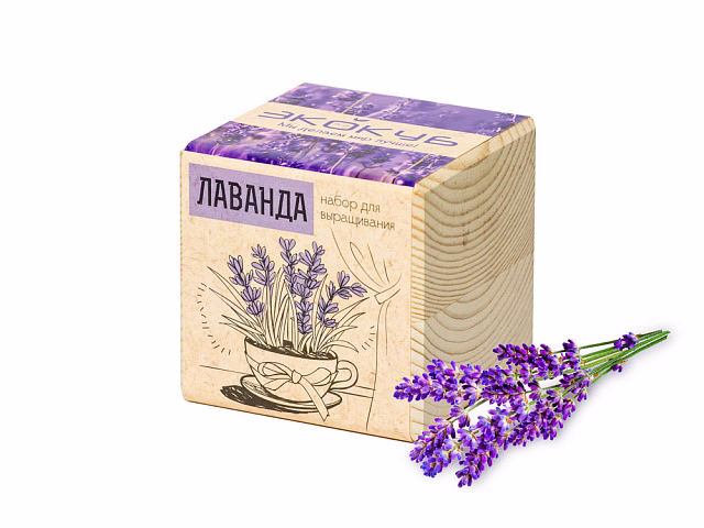 Набор для выращивания Экокуб Classic Лаванда Набор для выращивания Экокуб Classic Лаванда