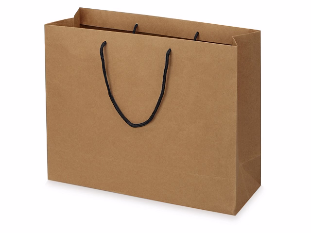 Пакет подарочный Kraft L, 45x35x15 см Пакет подарочный Kraft L, 45x35x15 см